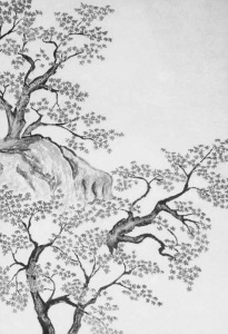 sawako-taikan-black-white